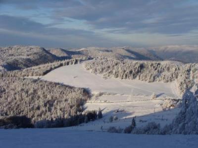 Gite Des 3 Jonquilles Saint-Maurice-sur-Moselle Exteriér fotografie